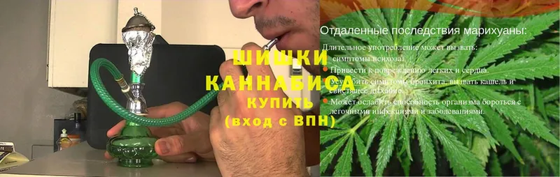 купить закладку  Вязьма  Конопля Ganja 